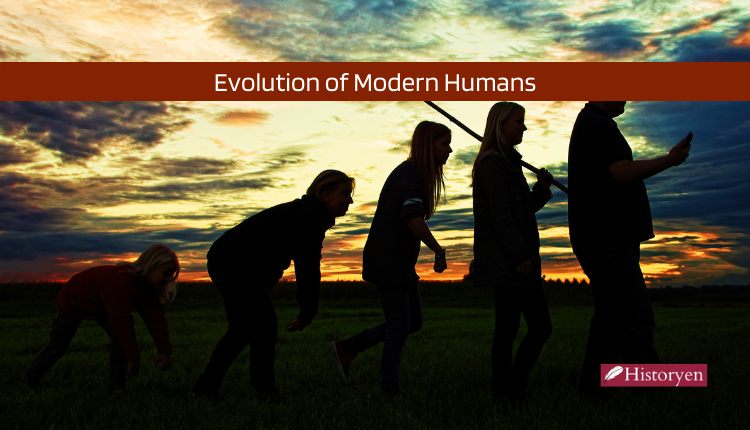 Evolution of Modern Humans