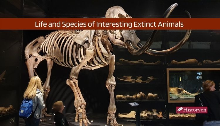 Life and Species of Interesting Extinct Animals