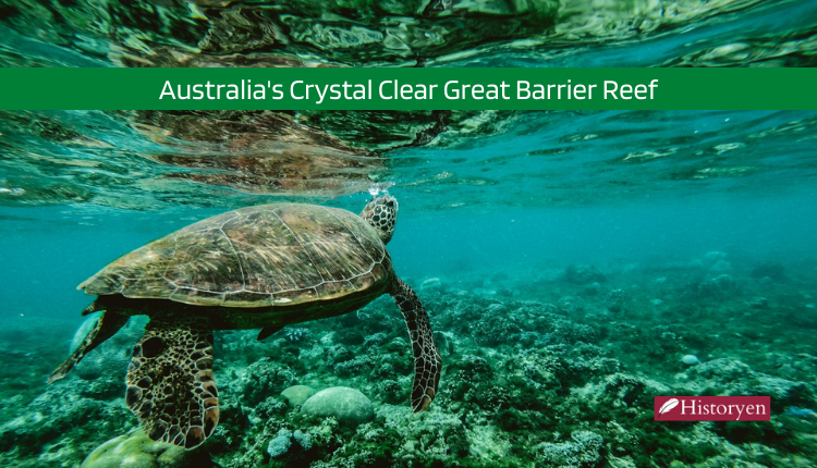 Australia's Crystal Clear Great Barrier Reef