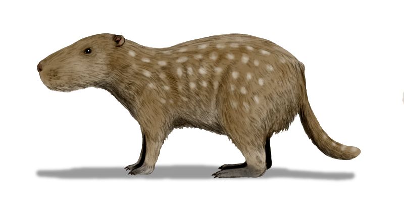 Josephoartigasia Mones - Ancient Extinct Animals