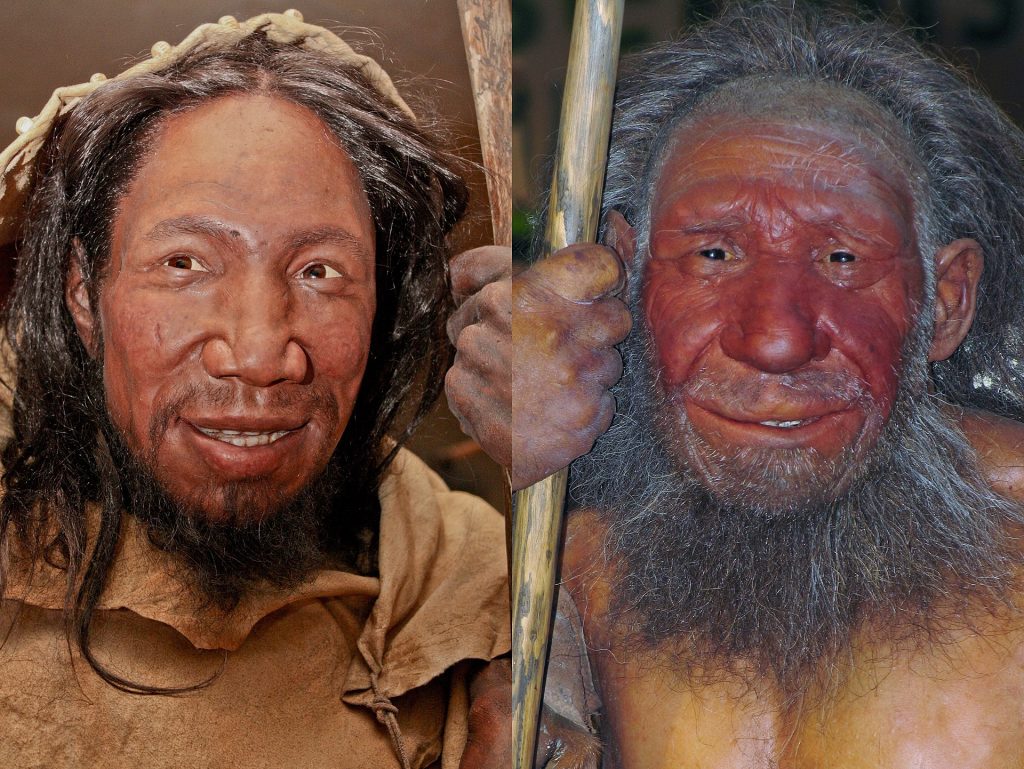 Neandertals Took Care of Their Elderlies and Disabled