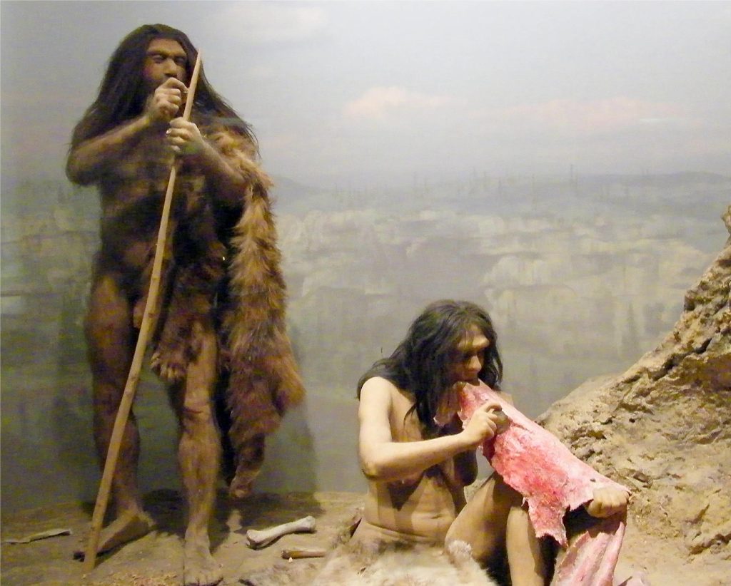 Some Neandertals Were Cannibals