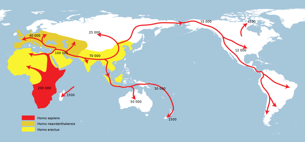 A representation of early human migrations