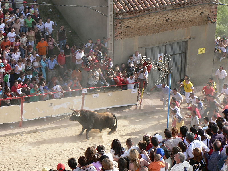 Running of the bulls - Dangerous Attractions in the World