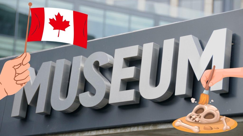 Best Archaeology Museums in Canada: A Comprehensive Guide