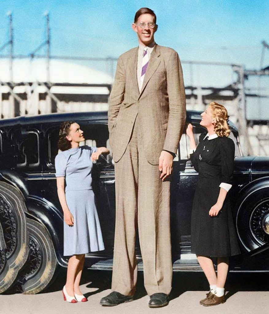 Media Representations - Robert Wadlow's life has been the subject of several books, movies, and documentaries.