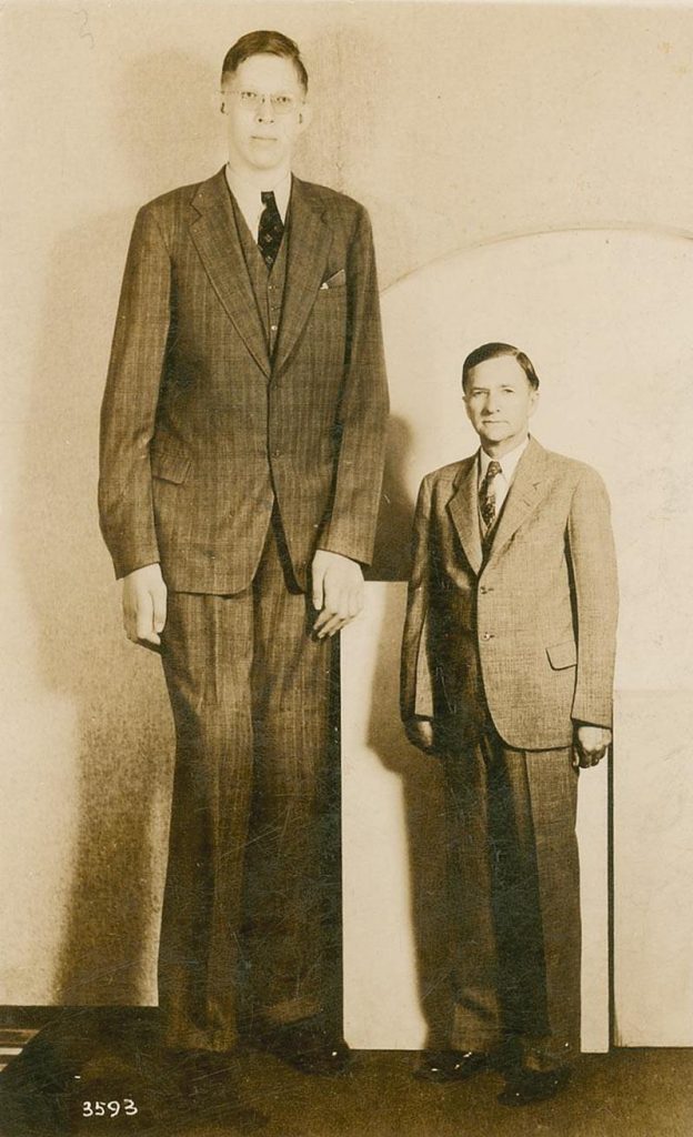 Daily Life of the Tallest Man in History