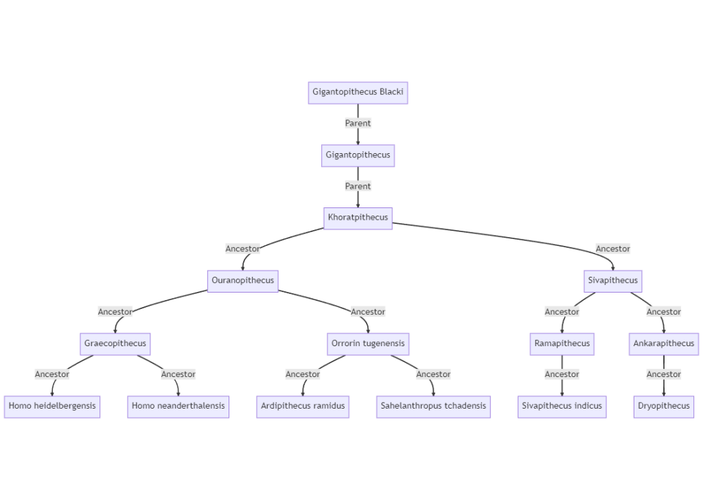 Family tree graph of the Gigantopithecus Blacki