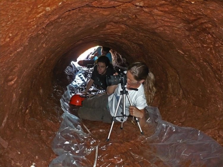 Researches are taking photos of the Giant Tunnels Dug by Prehistoric Sloths