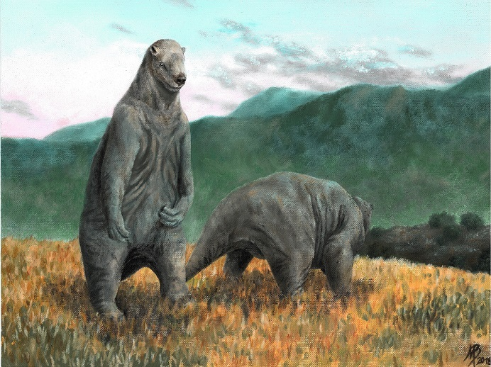 Reconstruction of Megatherium with hair (top) and without (bottom).