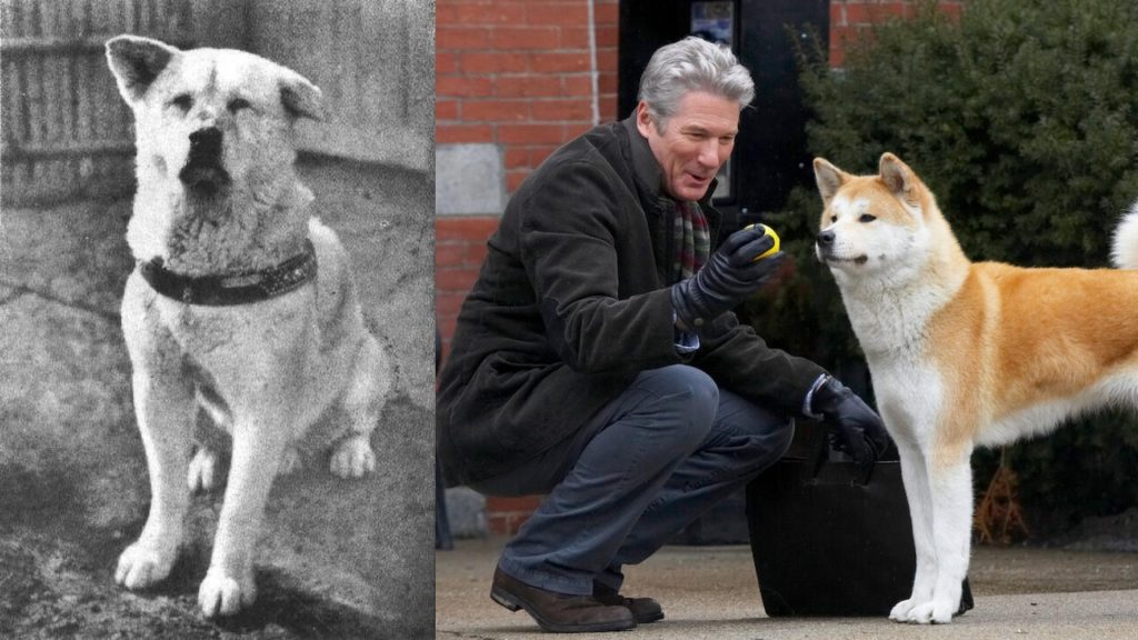 Hachiko: Loyal Dog who waited faithfully for his Deceased Owner for Ten Years