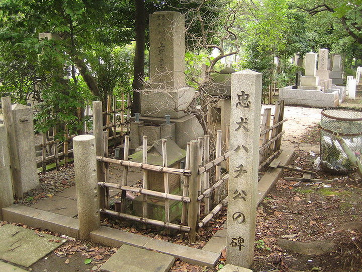 Hachikō's grave beside Professor Ueno's grave in Aoyama Cemetery, Minato, Tokyo