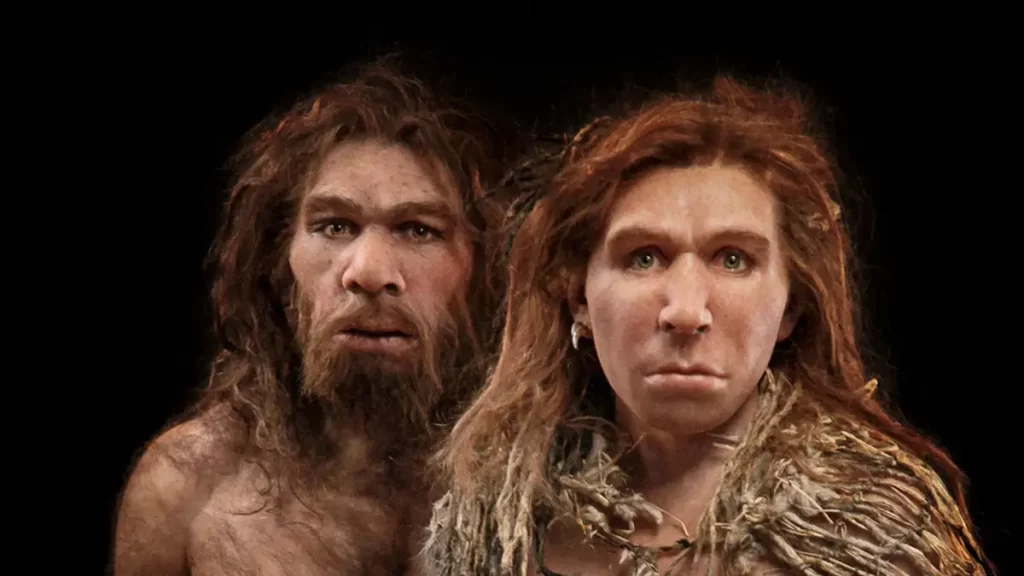 Among the countries studied, participants from Peru, where Native American ancestry is most prominent, had a higher likelihood of carrying these Neanderthal genetic variants. In contrast, participants from Brazil, with the lowest Native American ancestry, had the lowest likelihood of carrying these variants.